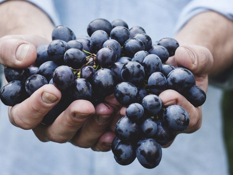 Grapes (Especially Red and Purple)