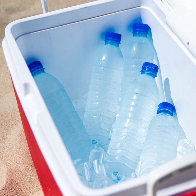 Frozen Water Bottles