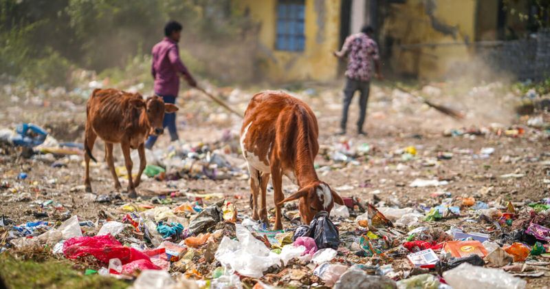 India