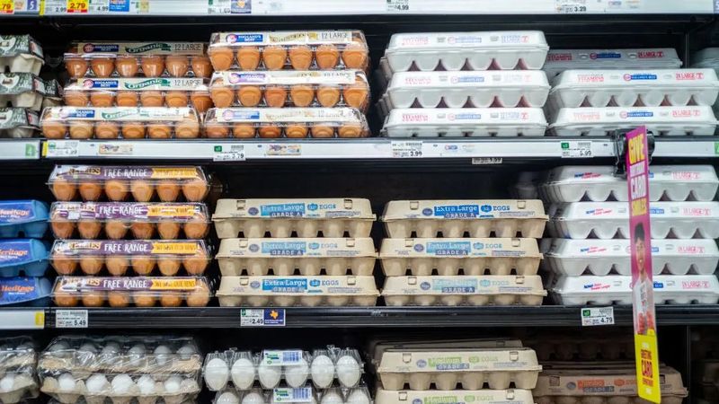 First Street Cage Free
