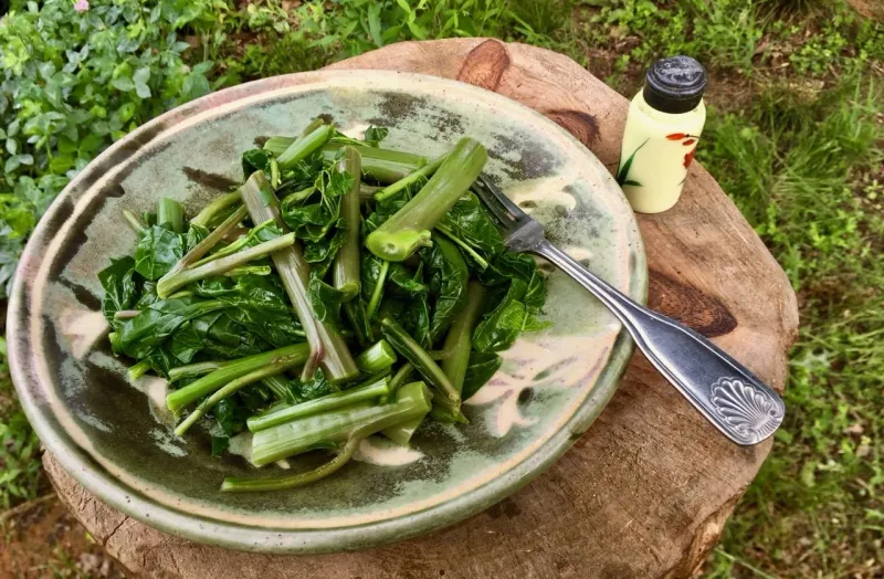Poke Sallet (Pokeweed Greens)