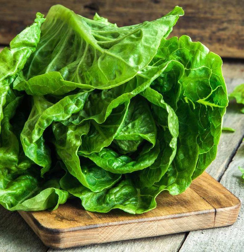 Romaine Lettuce