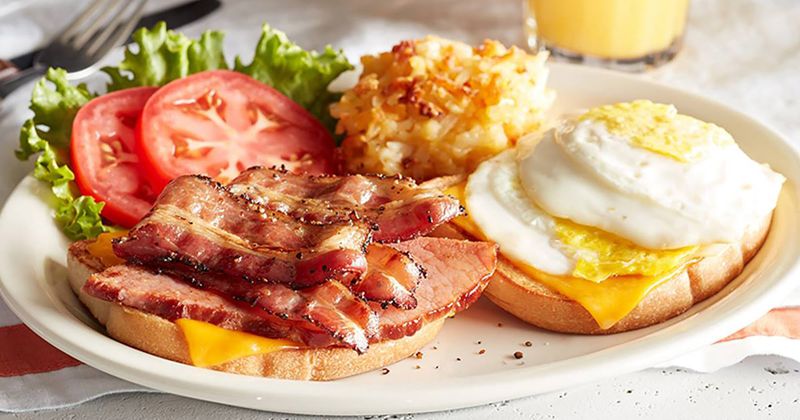 Egg Sandwich