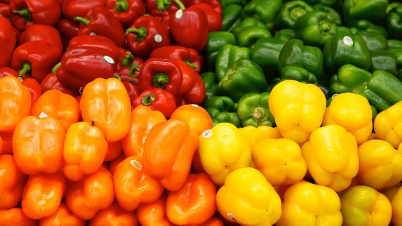 Peppers (Bell and Chili)
