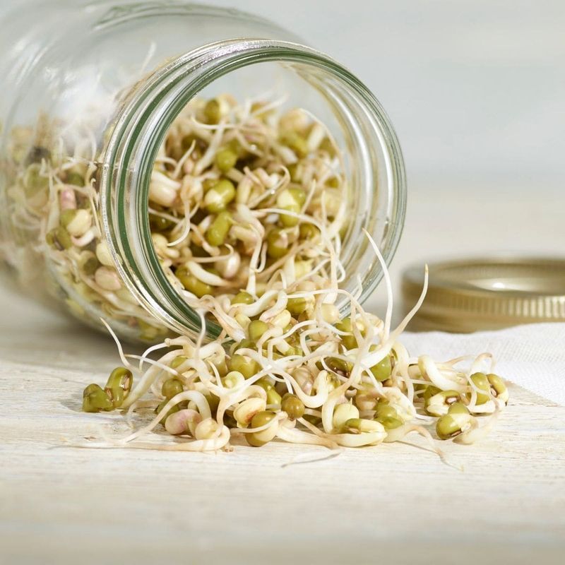 Sprouts (Like Alfalfa or Bean Sprouts)
