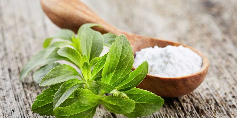 Stevia