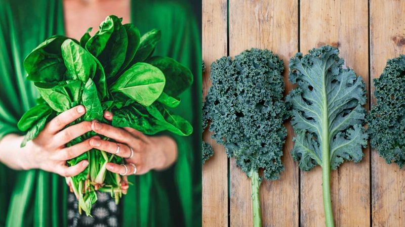 Leafy Greens (Spinach, Kale, Swiss Chard)