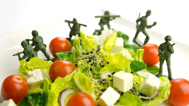 Military Diet