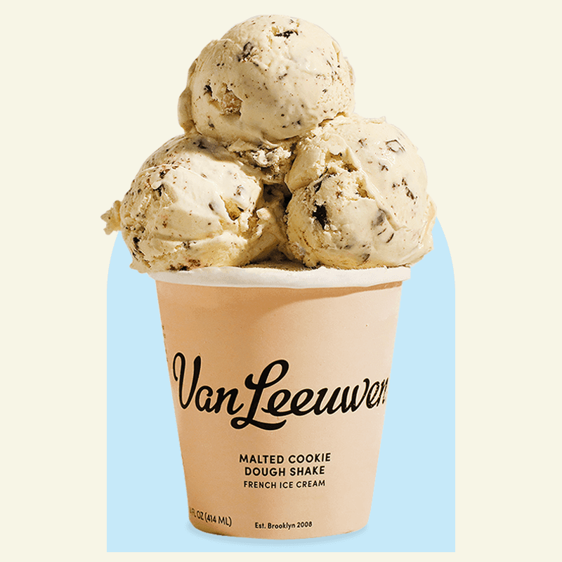 Van Leeuwen Cookie Dough Chunk