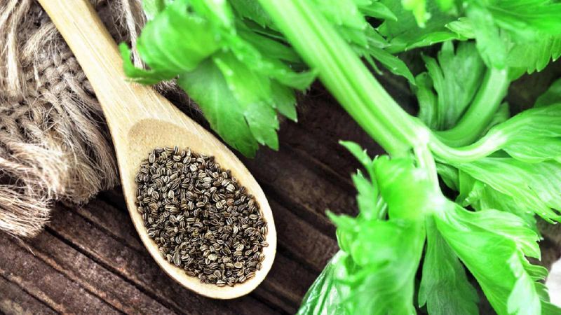 Celery Seed