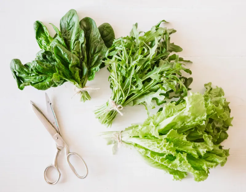 Eat More Leafy Greens