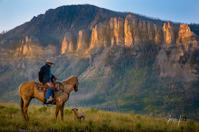 Wyoming – Cowboy Dog