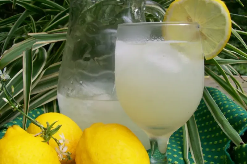 Sparkling Lemonade