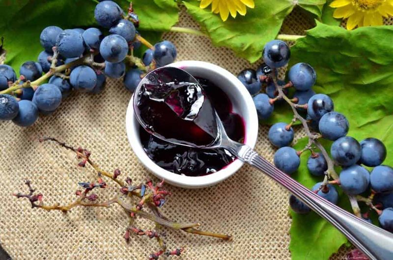 Concord Grape