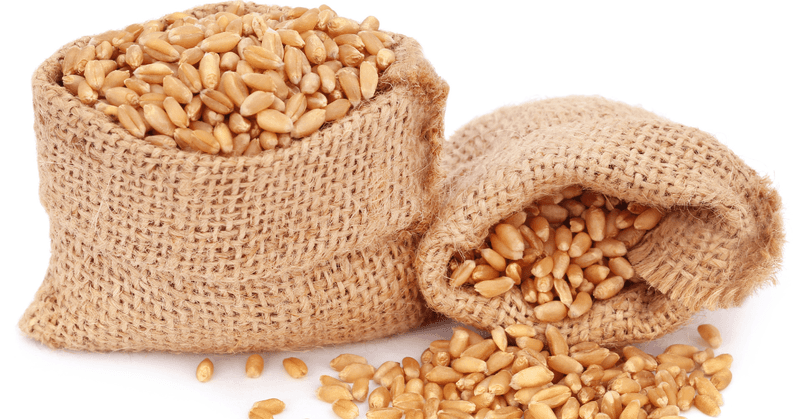 Wheat Berries