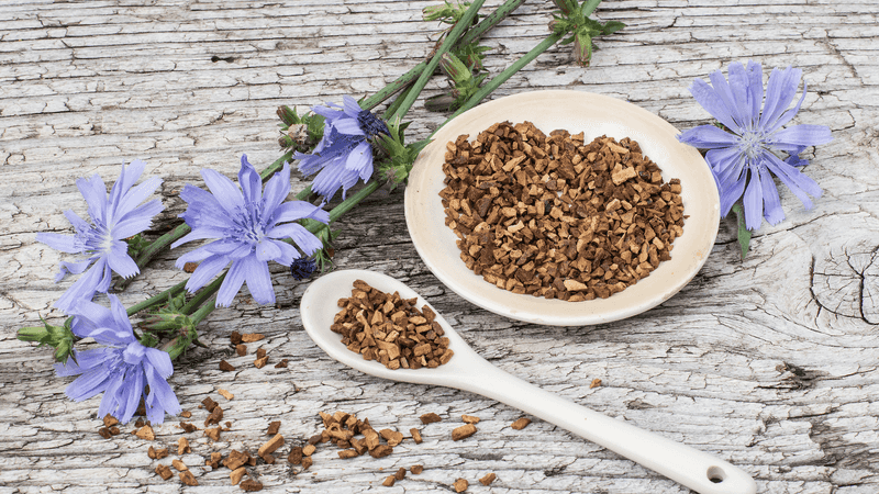 Chicory Root