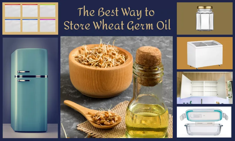 Wheat Germ Oil
