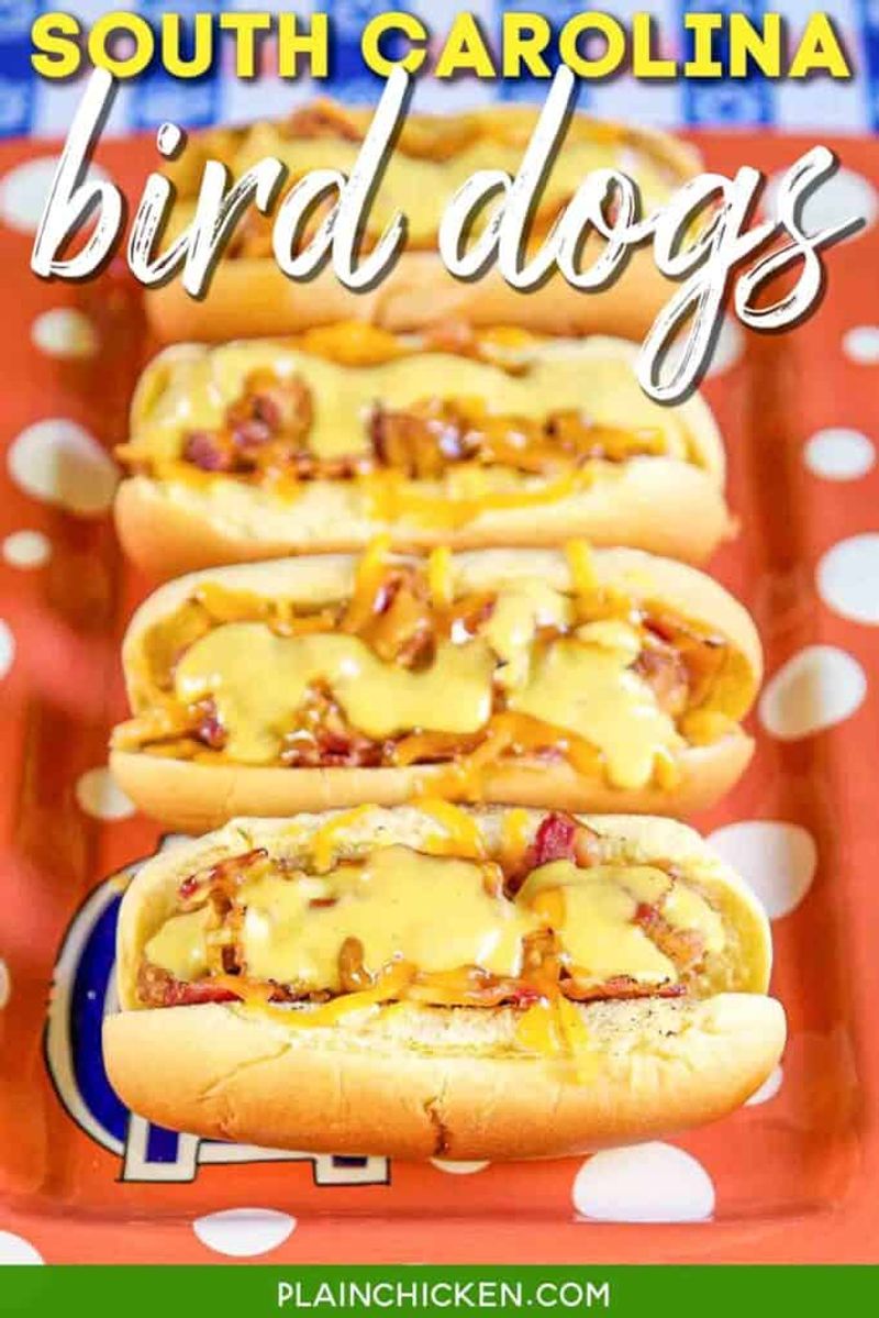 South Carolina – Carolina Dog