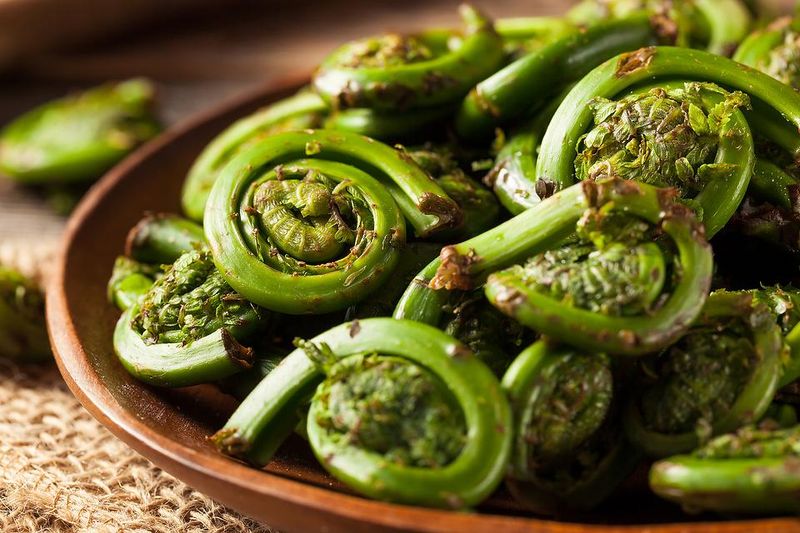 Fiddlehead Ferns with Butter and Lemon