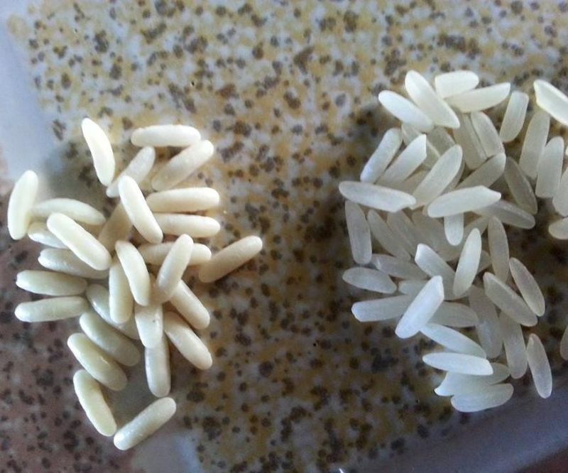 Rice