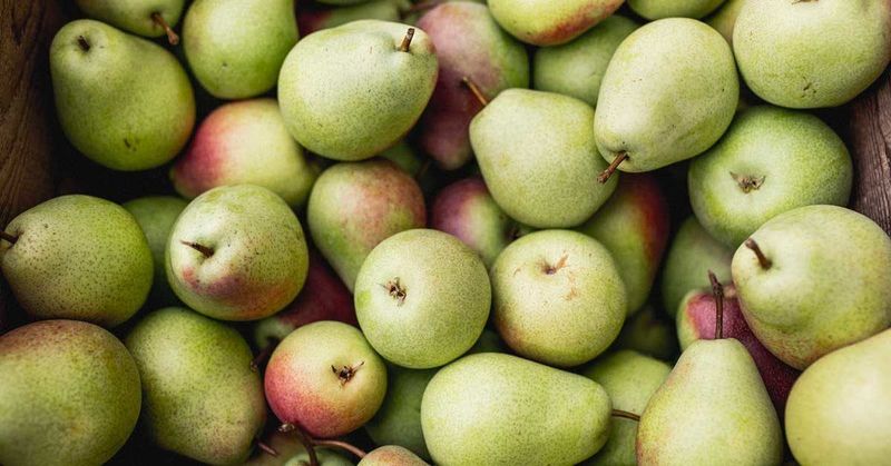 Pears