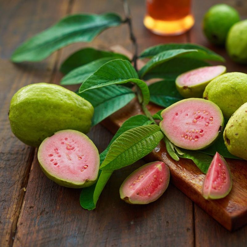 High in Antioxidants