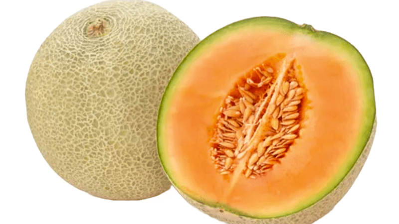 Cantaloupe