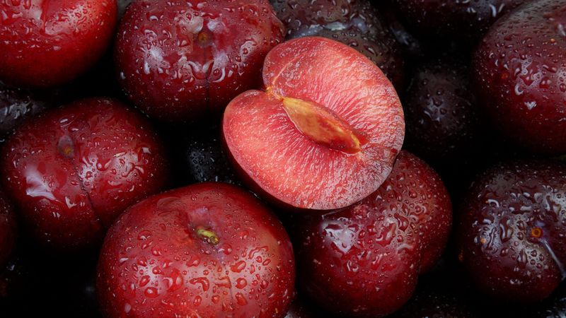 Plums