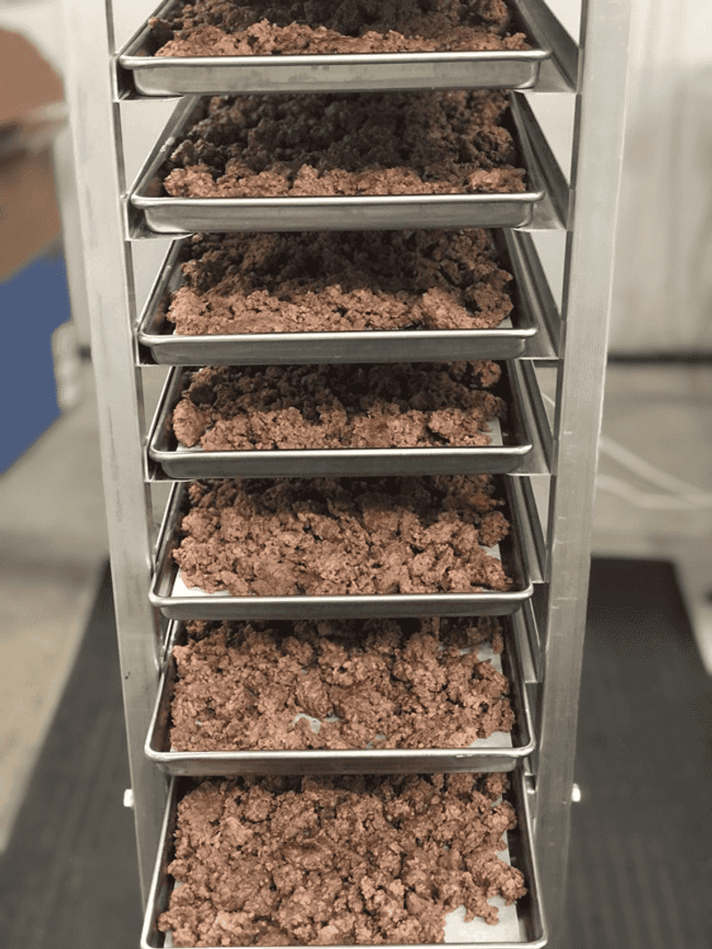 Freeze-Dried Meat (Chicken, Beef, Turkey)