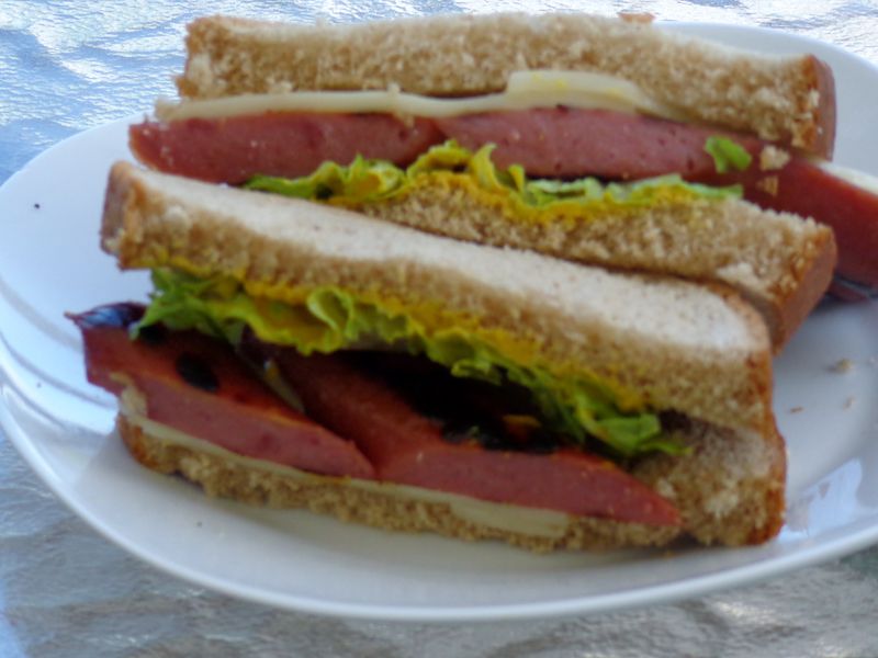 Cold Hot Dog Sandwich