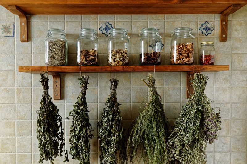 Herbal Supplements (Dried Form)