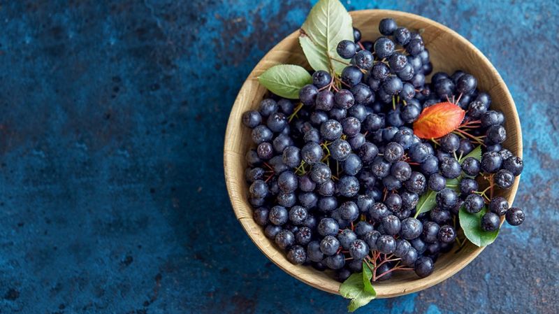 Chokeberries (Aronia Berries)