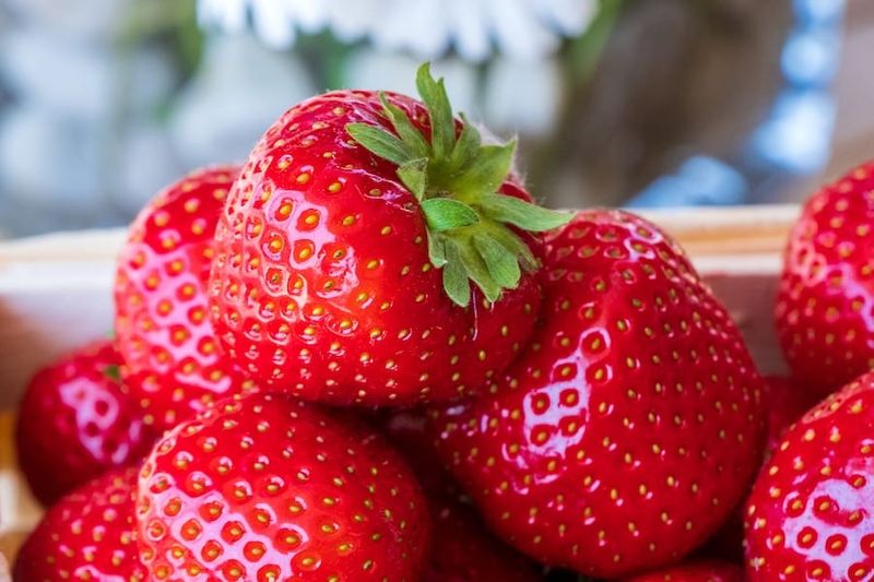 Strawberries