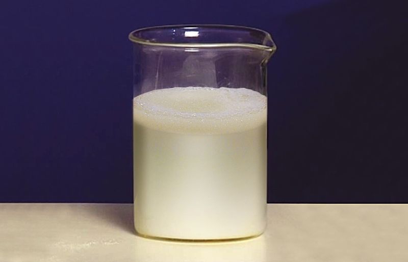 Milk