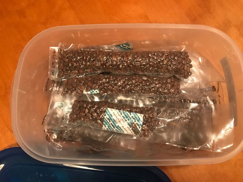 Instant Coffee or Freeze-Dried Coffee