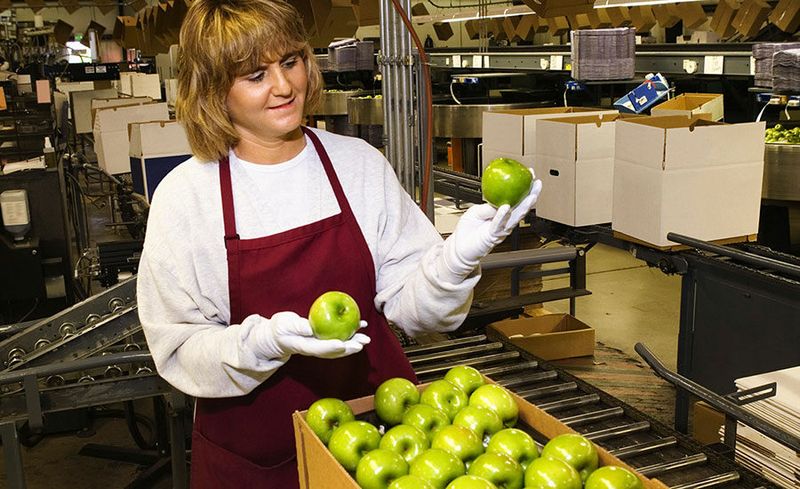 Nestlé (2006)