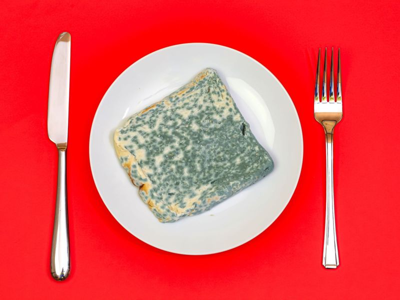 Old Leftovers = Mold Risk
