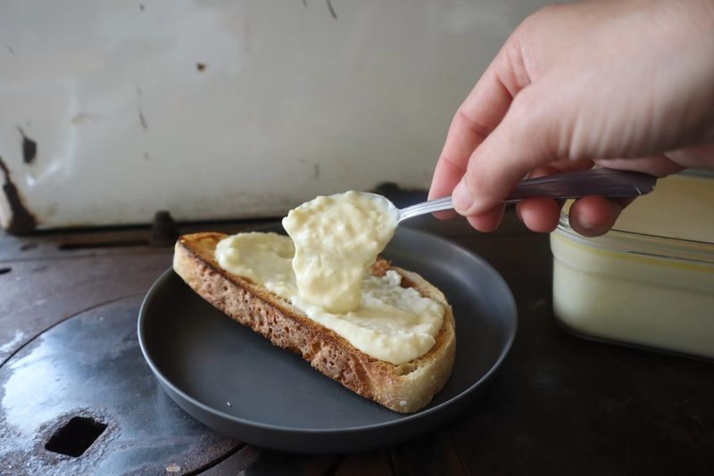 Cheese Food & Cheese Product Spreads