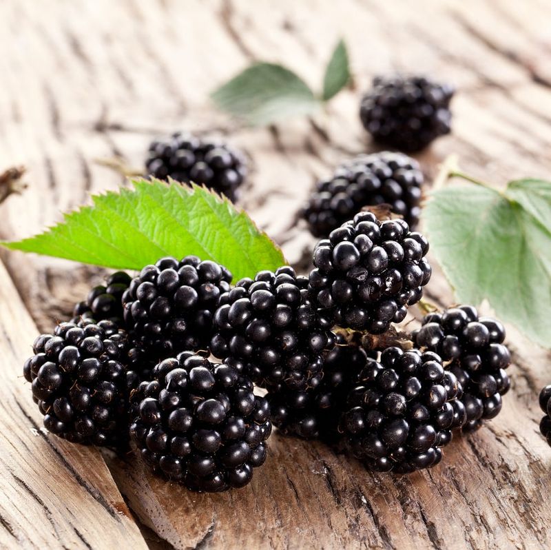 They Could Affect Blood Sugar (In a Good Way)