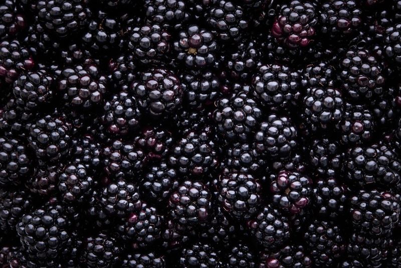 They Can Strengthen Your Immune System