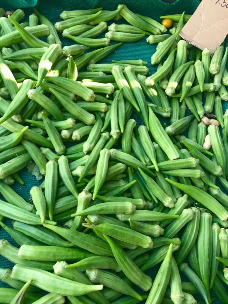 Okra