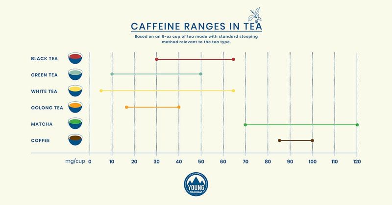 Ignoring the Caffeine Content