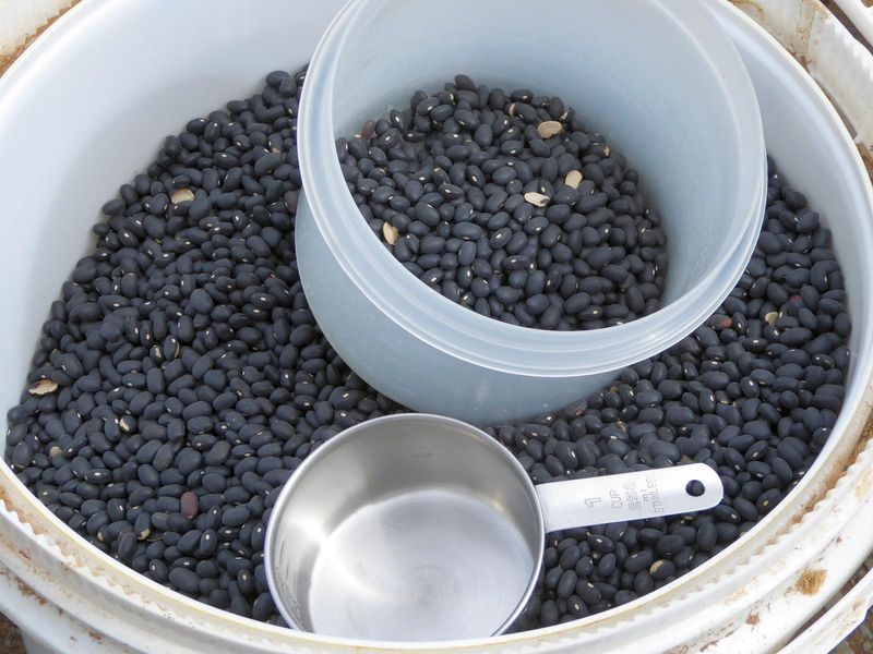 Dried Beans (Pinto, Black, Kidney)