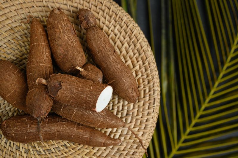 Cassava (Manioc)